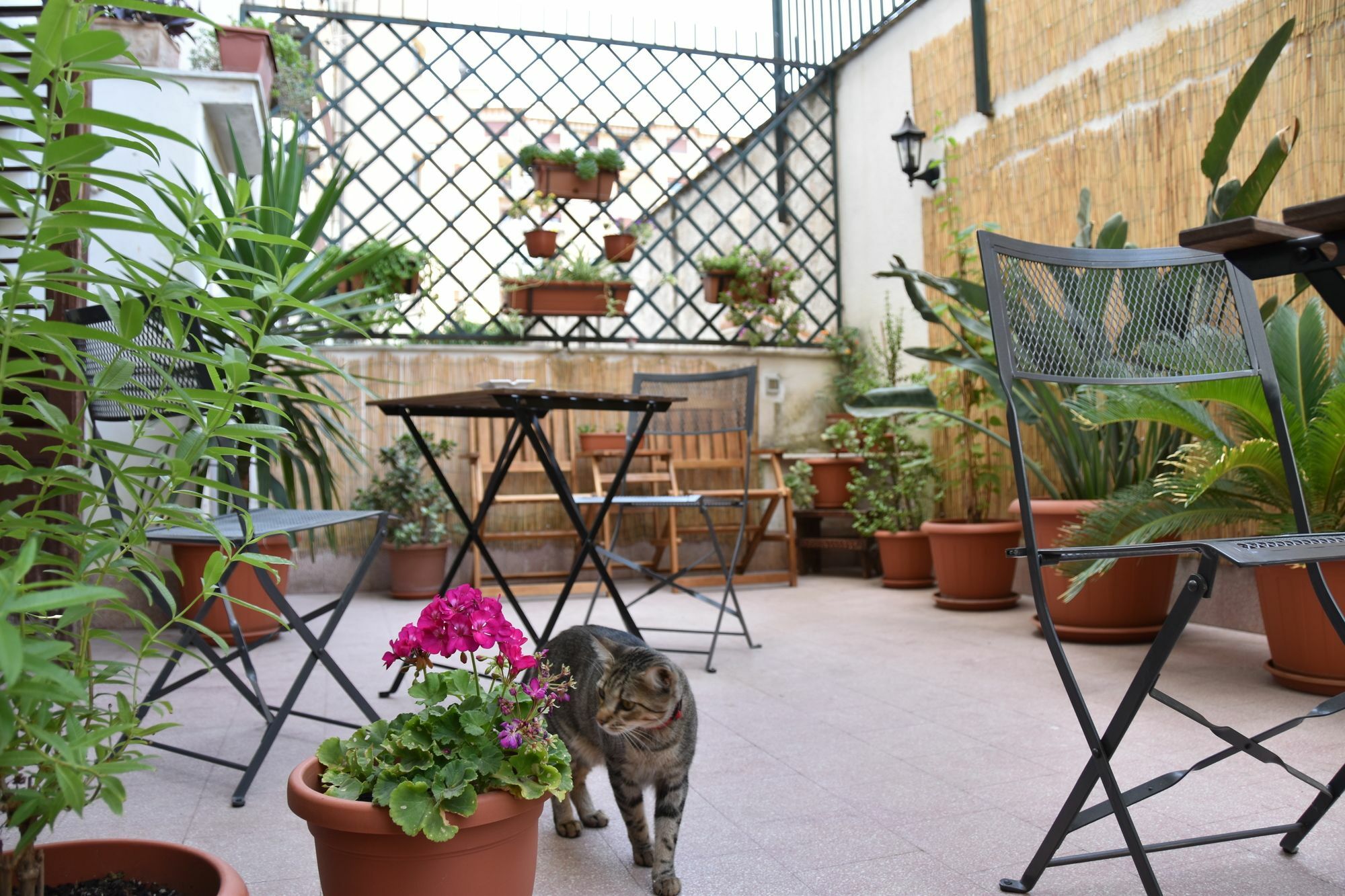 Hotel Il Lapino Palermo Exteriér fotografie